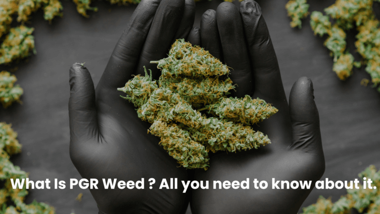 What Is PGR Weed? Know What You’re Taking