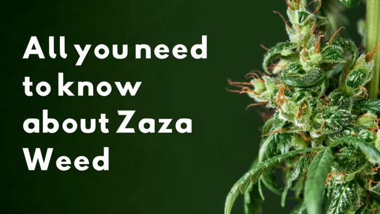 Unveiling Zaza Weed: Origins, Benefits, and Legality
