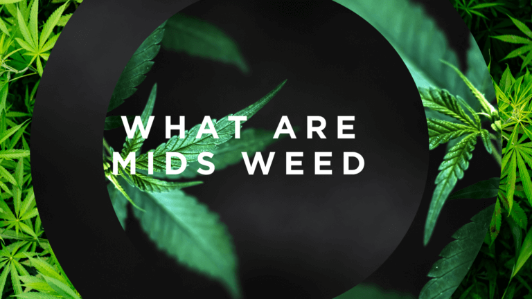 What Are Mids? The Complete Guide To Mid Range Cannabis