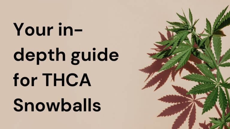 What Are THCA Snowballs and Their Impact on Cannabis Experience